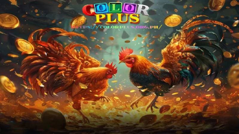 sabong colorplus casino 18