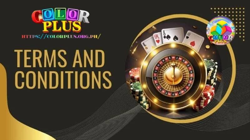 terms and conditions colorplus 18